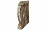 Polished, Petrified Wood (Metasequoia) Stand Up - Oregon #185146-2